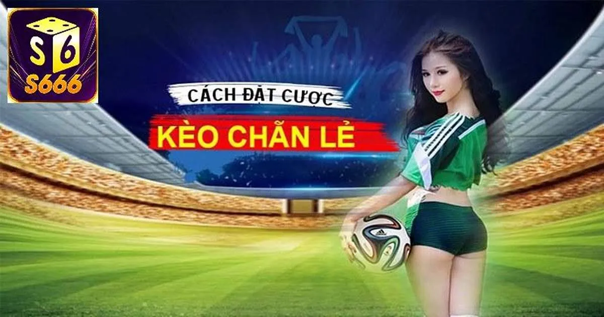 Kèo Chẵn Lẻ Bóng Đá Và Những Điều Tân Binh Chưa Biết 2 Những thông tin định nghĩa về kèo chẵn lẻ