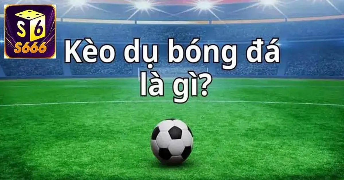 Kèo Dụ Là Gì? Làm Sao Để Nhận Biết Kèo Này? 2 Giải nghĩa về kèo dụ