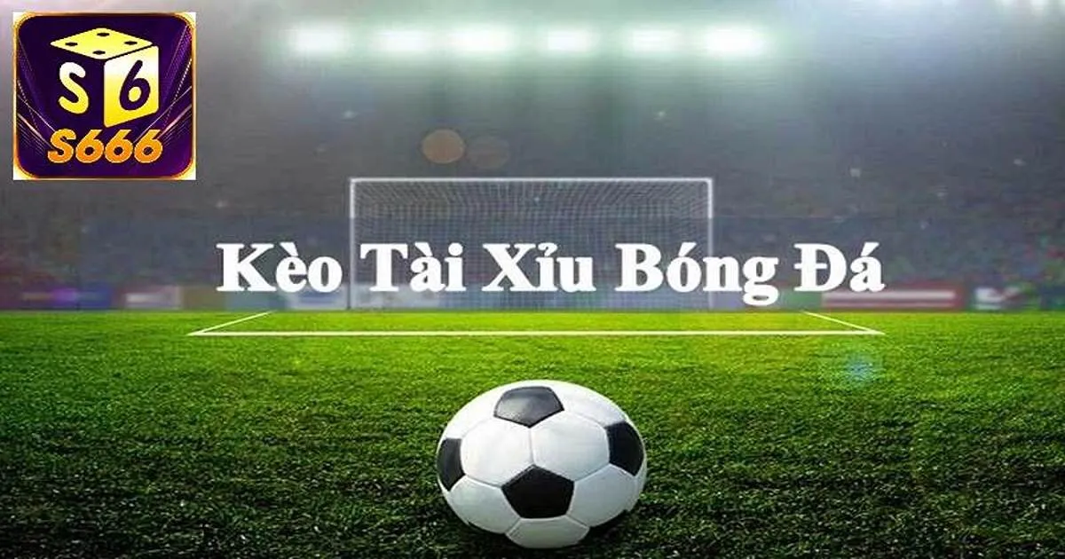 Soi kèo tài xỉu