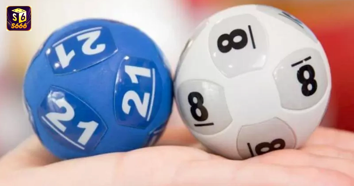 Bạch Thủ Lô Là Gì? Cách Soi Cầu Bạch Thủ Lô Trúng Lớn 4 Bạch thủ lô là gì? Phân biệt với lô đề